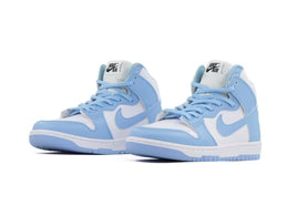 Nike Dunk High